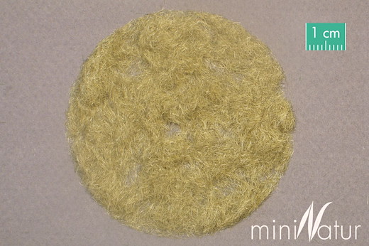 Gras-Flock 2 mm Grösse 50 g / Spätherbst