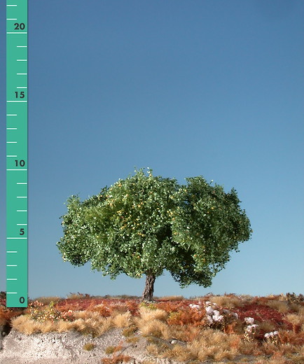 Apfelbaum 2 Stück ca. 8cm / Sommer