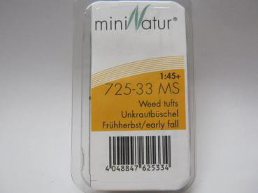 Unkrautbüschel Grösse ca.7.5x4cm / Frühherbst