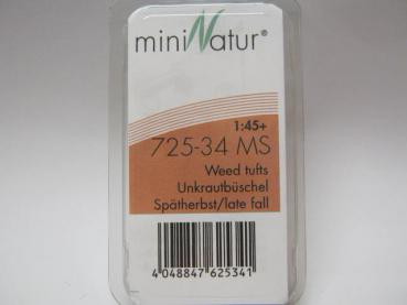 Unkrautbüschel Grösse ca.7.5x4cm / Spätherbst