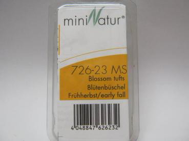 Blütenbüschel Grösse ca.7.5x4cm / Frühherbst