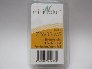 Blütenbüschel Grösse ca.7.5x4cm / Frühherbst