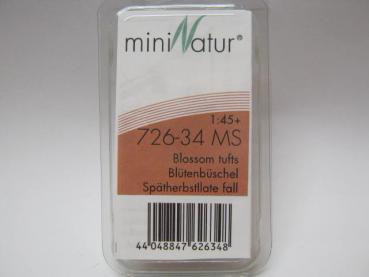 Blütenbüschel Grösse ca.7.5x4cm / Spätherbst