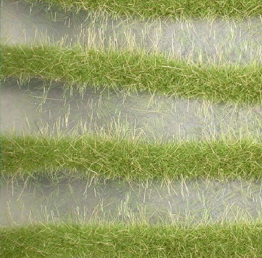 Karststreifen Grösse ca. 252 cm / Frühling