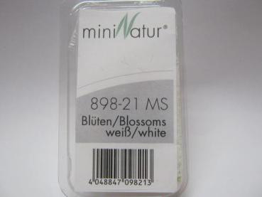 Blüten lose / Grösse ca 30ml / Weiss