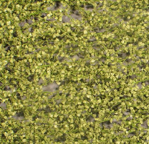 Birkenlaub Grösse ca. 27x15 cm / Frühling