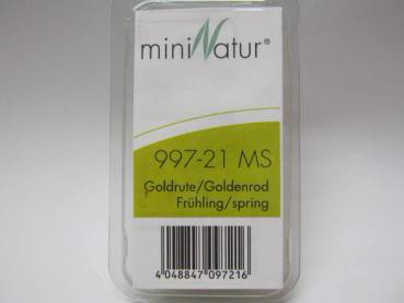 Goldrute Grösse ca.7.5x4cm / Frühling