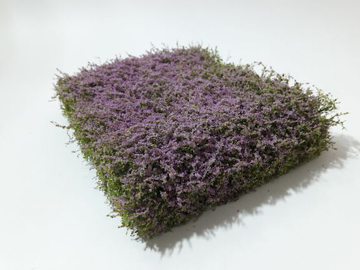 Sträuchermatte / Violett