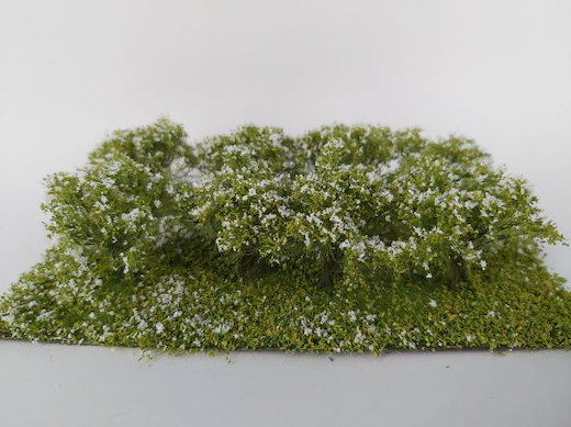 Sträucher/ weiss