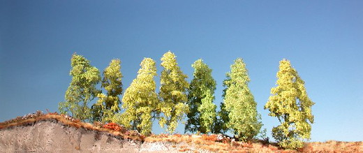 Filigranbüsche/ Frühling / 4-6 Stück