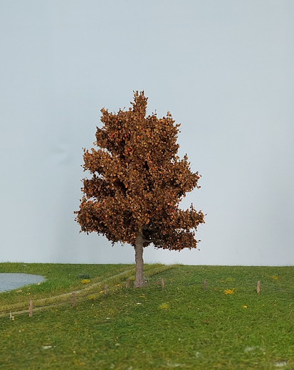 Apfelbaum 1 Stück 25-29cm / Spätherbst