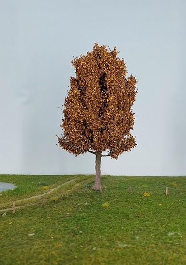 Birne 1 Stück 25-29cm / Spätherbst