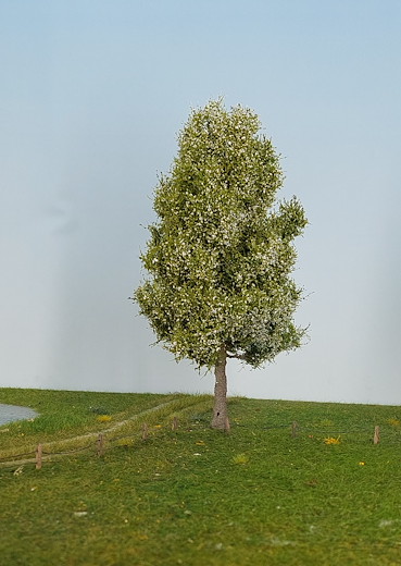 Birne 1 Stück 30-35cm / Frühling