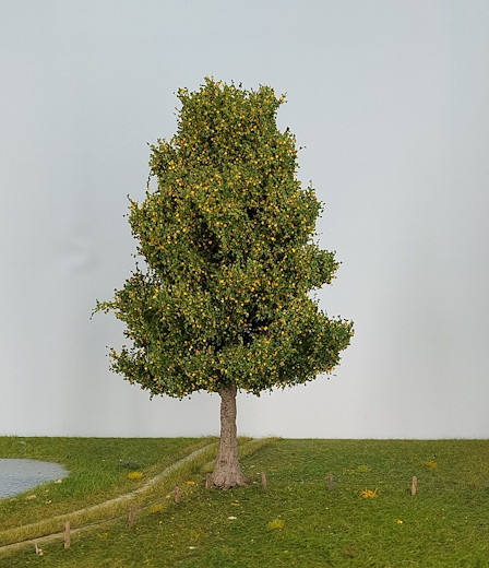 Espe 1 Stück 25-29cm / Frühherbst