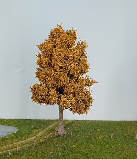 Espe 1 Stück 35-39cm / Spätherbst