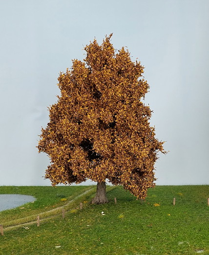 Eiche 1 Stück 30-34cm / Spätherbst
