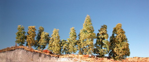 Filigranbüsche/ Frühherbst / 1 Stück