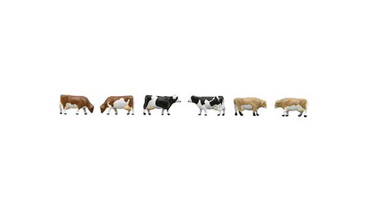 Cows in a Farm