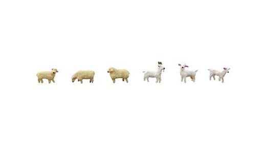 Animal 105-Sheep & Goat 2