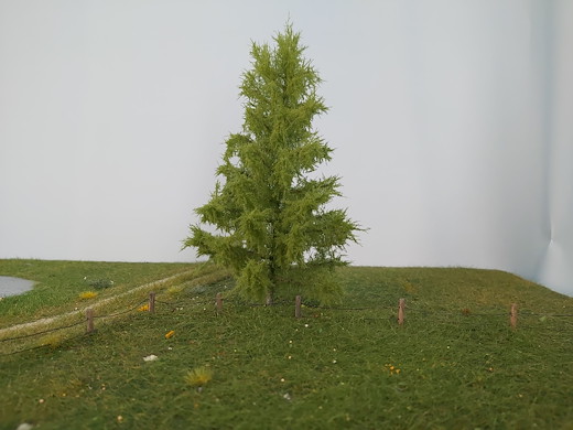 Lärche 2 Stück 8cm / Frühling