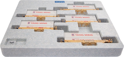 Gunderson MAXI-I Double Stack Car 5 Unit Set, TTX New Logo #0759364 with Cang Ming Containers / 106-6212, Privatbahn