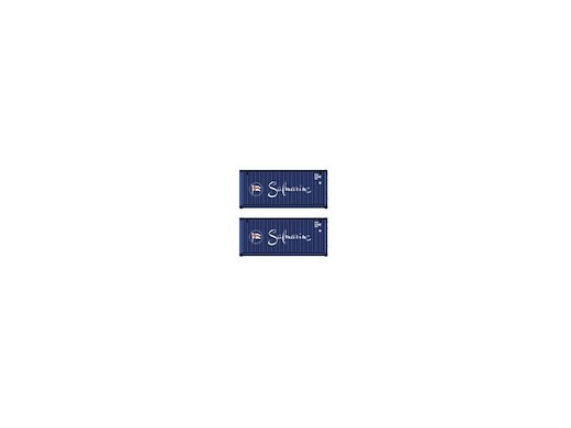 2er-Set Container 20" Safmarine, Blau, Schrift Weiss