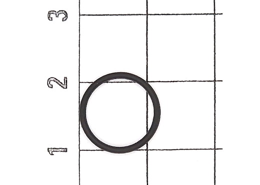 O-Ring 10 St