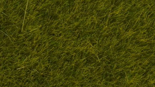 Wildgras Wiese 6 mm 50g Beutel