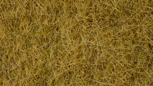 Wildgras beige 50g Beutel
