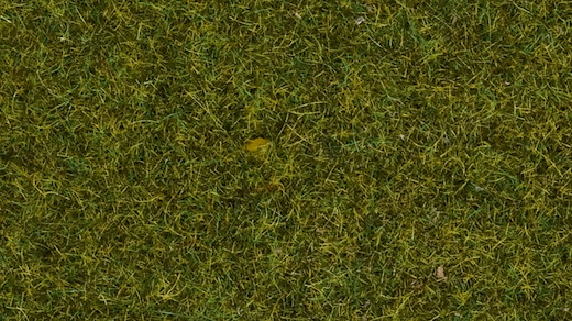 Wildgras Wiese, 9 mm, 50 g
