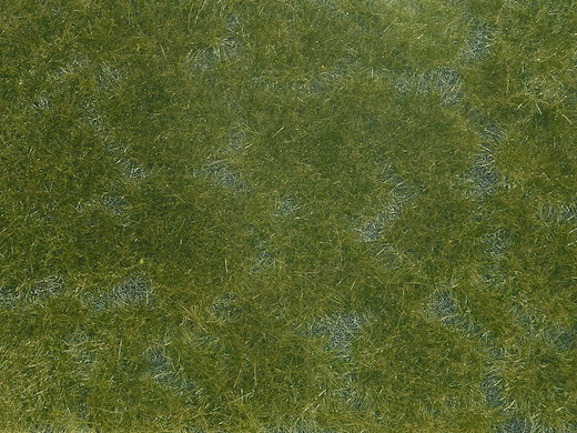 Bodendecker-Foliage dunkelgrün 12 x 18 cm
