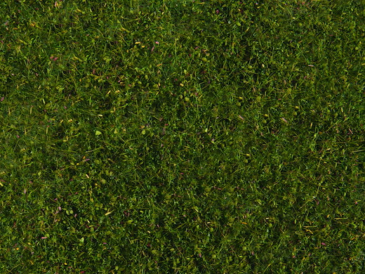 Wiesen-Foliage, mittelgrün