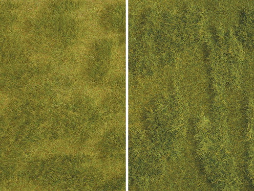*Natur+ Saftige Wiese 25 x 25 cm