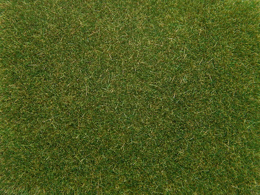 Streugras mittelgrün, 4 mm, 20g