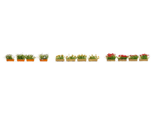 Blumenkästen blühend rot, weiß und gelb