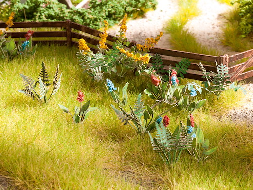 L-C Feld- und Wiesenpflanzen