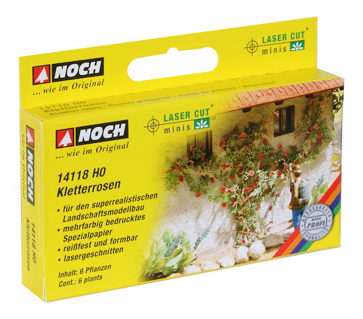L-C minis Kletterrosen