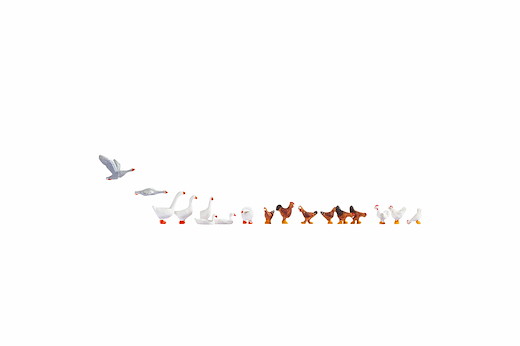 Hühner und Gänse