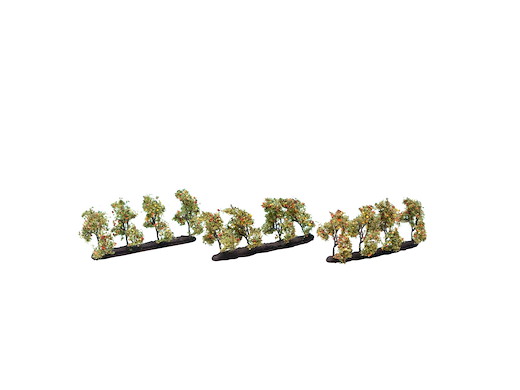 Plantagenbäume mit Äpfeln