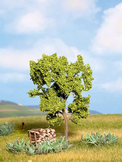 Birnbaum grün 11,5 cm