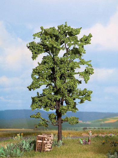 Linde 18,5 cm