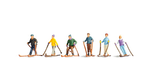 Skifahrer