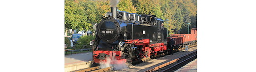 RüBB 99 1781-6 Dampflok-Fertigmodell