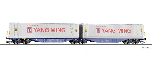 Containertragwagen ITL
