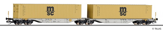 Containertragwagen AAE