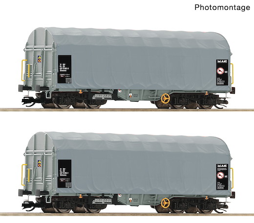 2-tlg. Set: Schiebeplanenwagen, CD Cargo