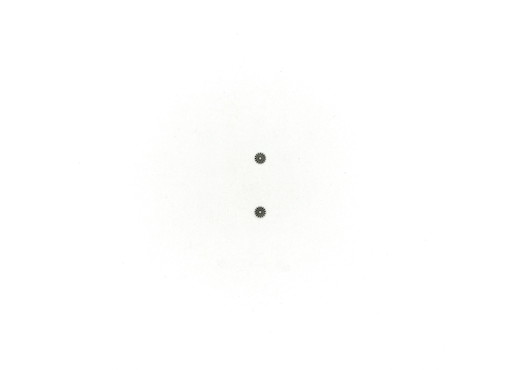 Zahnrad 0,3 / 15 Z-Spur (2 St