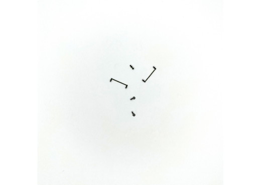 Griffstangen, Schildhalter