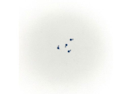 Haken (4 St)