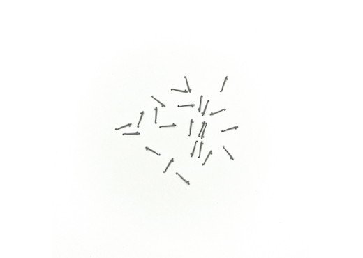 Runge grau 24 Stk.